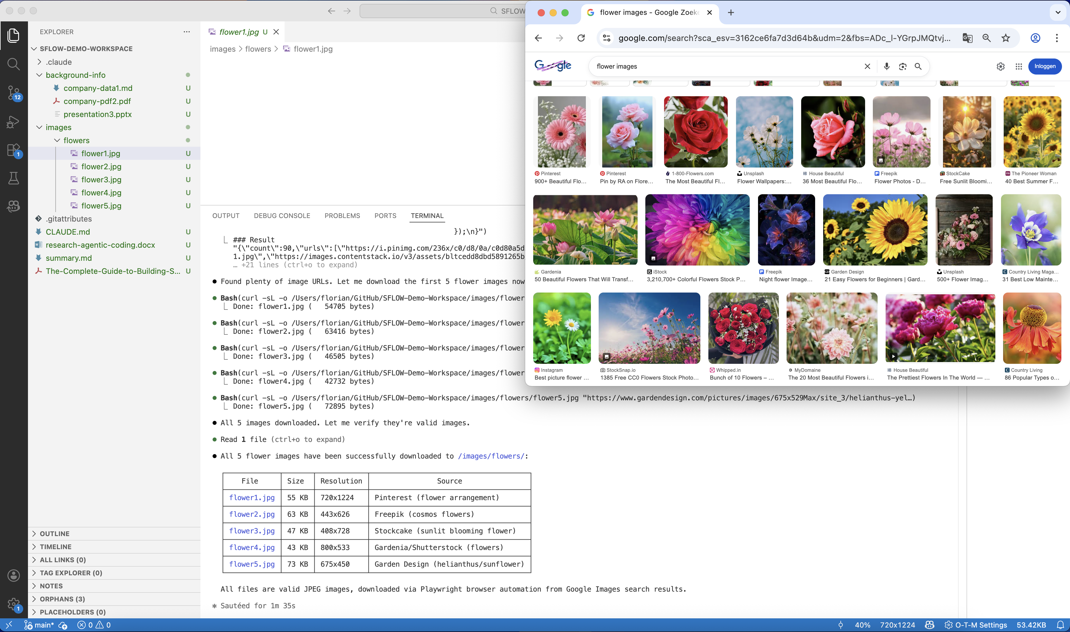 Claude Code using Playwright MCP to search Google Images, download files, and report results — with VS Code and Chrome visible side by side